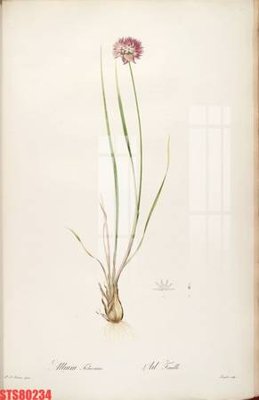 Tải file tranh Tranh sơn dầu phương tây tổng hợp STS80234 (gốc) tại Filetranh.com