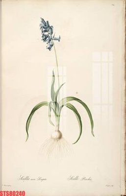 File in lụa Tranh sơn dầu phương tây tổng hợp STS80240 (hoa văn) Tranh sơn dầu phương tây tổng hợp STS80240