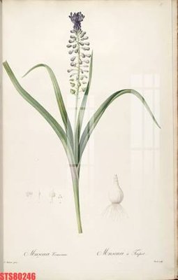 File in ấn Tranh sơn dầu phương tây tổng hợp STS80246 (bản gốc) từ file gốc