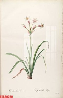 File gốc Tranh sơn dầu phương tây tổng hợp STS80250 (in 3D) nghệ thuật