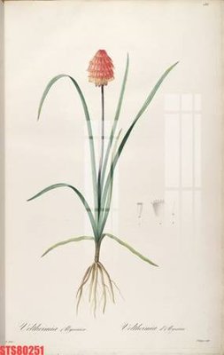 File tranh in tráng gương Tranh sơn dầu phương tây tổng hợp STS80251 (siêu nét)