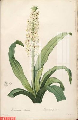 Tải file gốc Tranh sơn dầu phương tây tổng hợp STS80253 (bản PSD) còn layer