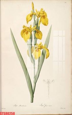 File gốc Tranh sơn dầu phương tây tổng hợp STS80258 (cho in 3D) độc đáo