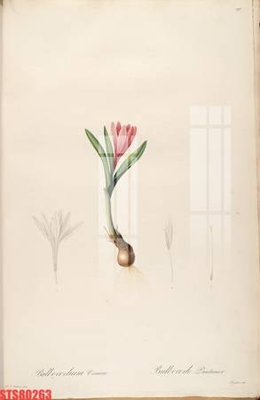 File tranh Tranh sơn dầu phương tây tổng hợp STS80263 (bản gốc) treo tường