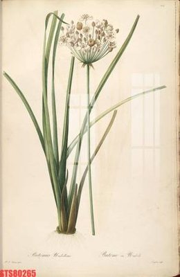 File gốc in ấn Tranh sơn dầu phương tây tổng hợp STS80265 (sẵn sàng tải về)