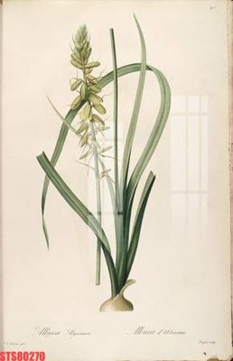 Tải file Tranh sơn dầu phương tây tổng hợp STS80270 (ảnh gốc) in tranh kính