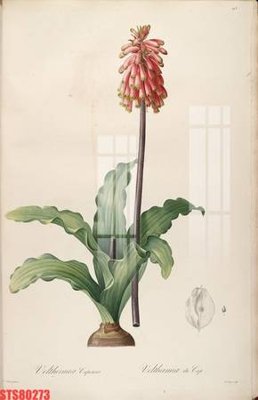 File tranh Tranh sơn dầu phương tây tổng hợp STS80273 (gốc) chủ đề trừu tượng