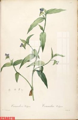 Tải file gốc Tranh sơn dầu phương tây tổng hợp STS80278 (in tráng gương) siêu đẹpFile tranh gốc Tranh sơn dầu phương tây tổng hợp STS80278 chất lượng cao