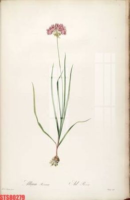 File gốc Tranh sơn dầu phương tây tổng hợp STS80279 (ảnh chi tiết) để in trần