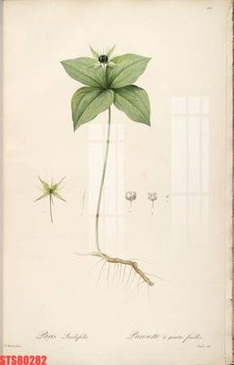 File tranh Tranh sơn dầu phương tây tổng hợp STS80282 (gốc) chủ đề trừu tượng