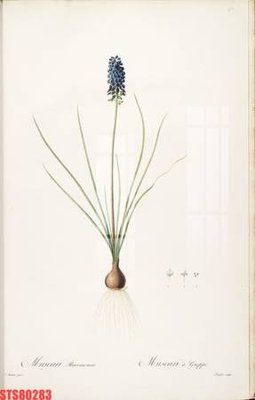 Cung cấp file tranh gốc Tranh sơn dầu phương tây tổng hợp STS80283 độc quyền