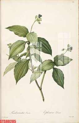 File gốc Tranh sơn dầu phương tây tổng hợp STS80285 (in lụa) cao cấp