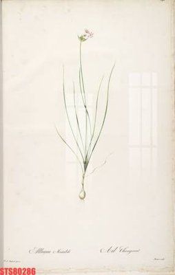 File tranh Tranh sơn dầu phương tây tổng hợp STS80286 (bản gốc) in canvas