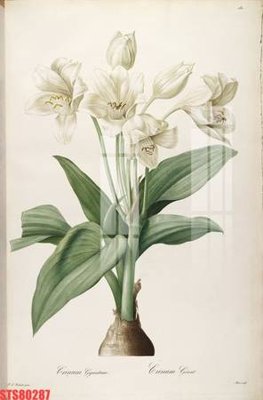 File gốc Tranh sơn dầu phương tây tổng hợp STS80287 (in tráng gương) hiện đại