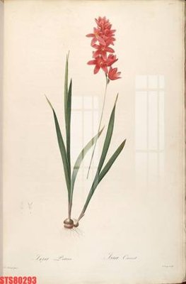 File tranh Tranh sơn dầu phương tây tổng hợp STS80293 (gốc) chủ đề thiên nhiên