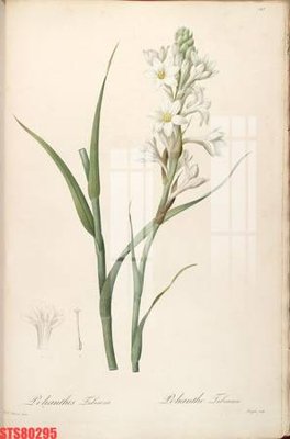 File gốc Tranh sơn dầu phương tây tổng hợp STS80295 (ảnh rõ nét) để in