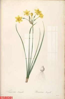 File gốc Tranh sơn dầu phương tây tổng hợp STS80301 (in lụa) họa tiết 3D