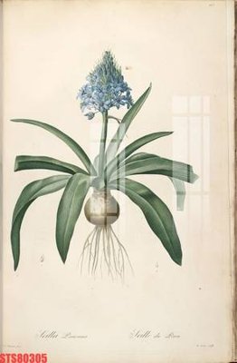 File tranh quảng cáo Tranh sơn dầu phương tây tổng hợp STS80305 (file gốc) chuyên nghiệp