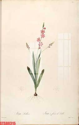 File tranh Tranh sơn dầu phương tây tổng hợp STS80315 (gốc) chủ đề thành phố