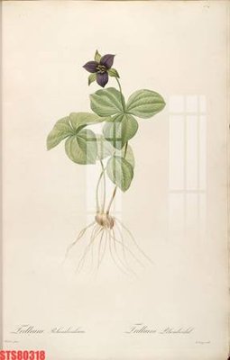 Tải file gốc Tranh sơn dầu phương tây tổng hợp STS80318 (in tráng gương) cao cấpFile gốc Tranh sơn dầu phương tây tổng hợp STS80318 (in ấn) phiên bản độc quyền