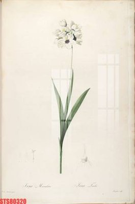 File tranh in mica Tranh sơn dầu phương tây tổng hợp STS80320 (độ phân giải cao)