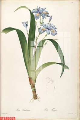 File gốc Tranh sơn dầu phương tây tổng hợp STS80324 (dành cho trang trí nội thất)