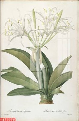 Tải file gốc Tranh sơn dầu phương tây tổng hợp STS80325 (bản PSD) chỉnh sửa được