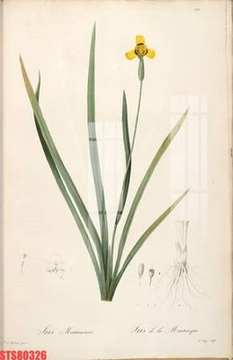 File tranh Tranh sơn dầu phương tây tổng hợp STS80326 (bản gốc) treo quán cafe