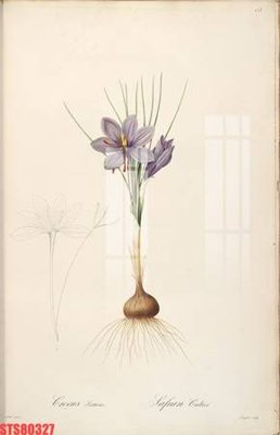 File gốc Tranh sơn dầu phương tây tổng hợp STS80327 (in tráng gương) hiện đại