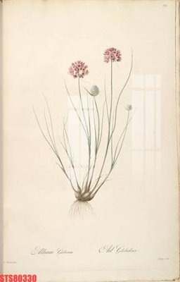 File tranh quảng cáo Tranh sơn dầu phương tây tổng hợp STS80330 (download file gốc)