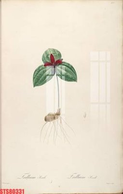 File tranh in trần Tranh sơn dầu phương tây tổng hợp STS80331 (ảnh gốc siêu nét)