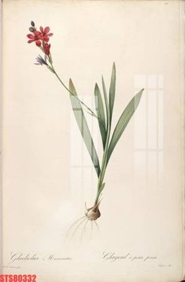 Tải file Tranh sơn dầu phương tây tổng hợp STS80332 (gốc) làm tranh treo tường