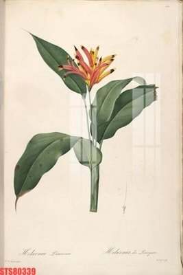 File ảnh Tranh sơn dầu phương tây tổng hợp STS80339 (gốc) cho trang trí nội thất