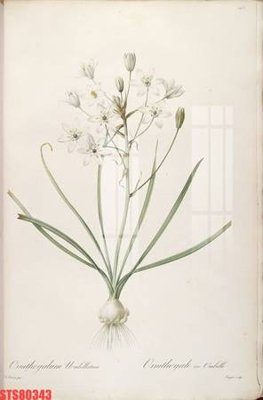 Tải file gốc Tranh sơn dầu phương tây tổng hợp STS80343 (in khổ lớn) không mờ