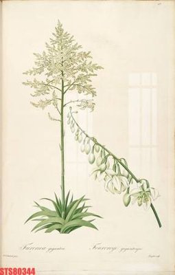 Tải file gốc Tranh sơn dầu phương tây tổng hợp STS80344 (in khổ lớn) không mờ