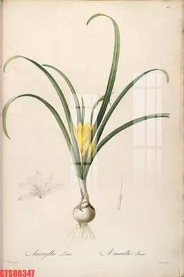 Tải file Tranh sơn dầu phương tây tổng hợp STS80347 (gốc) chủ đề hoa sen