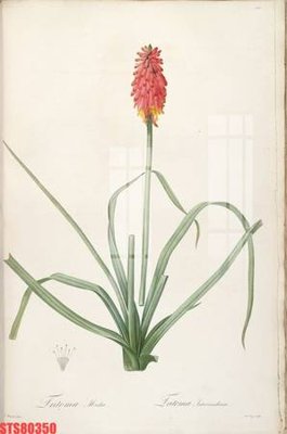 File gốc Tranh sơn dầu phương tây tổng hợp STS80350 (in ấn) không giới hạn