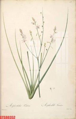 File gốc Tranh sơn dầu phương tây tổng hợp STS80352 (ảnh chi tiết) để in lụa