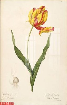 File in trần Tranh sơn dầu phương tây tổng hợp STS80355 (bản gốc) trời sao