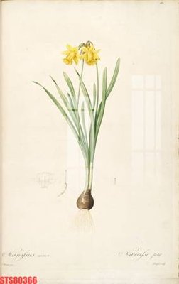 File tranh Tranh sơn dầu phương tây tổng hợp STS80366 (bản gốc) in lụa dán tường