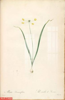 File gốc Tranh sơn dầu phương tây tổng hợp STS80372 (cho in 3D) độc đáo