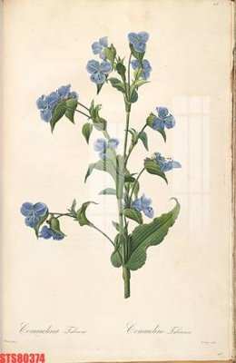 File gốc Tranh sơn dầu phương tây tổng hợp STS80374 (dành cho trang trí nội thất)