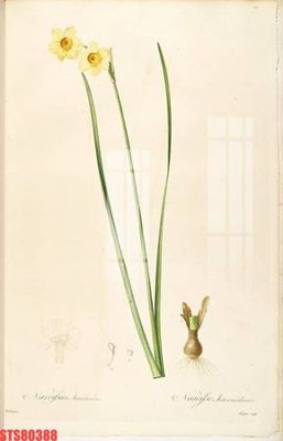 File gốc Tranh sơn dầu phương tây tổng hợp STS80388 (in ấn) không giới hạn