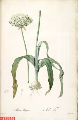 Tải file Tranh sơn dầu phương tây tổng hợp STS80401 (gốc) chủ đề tôn giáo