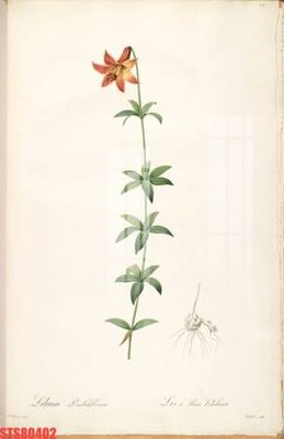 File gốc Tranh sơn dầu phương tây tổng hợp STS80402 (PNG) không nền chất lượng