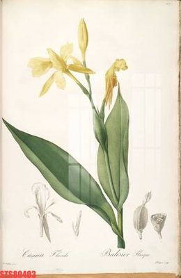 Mua file gốc Tranh sơn dầu phương tây tổng hợp STS80403 (PSD) tại Filetranh.com