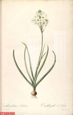 Download file Tranh sơn dầu phương tây tổng hợp STS80406 (chuẩn in) chất lượng cao