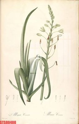 File gốc Tranh sơn dầu phương tây tổng hợp STS80408 (cho in ấn) từ kho Filetranh