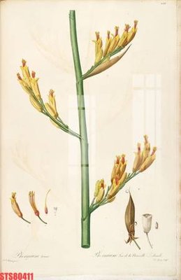 File tranh quảng cáo Tranh sơn dầu phương tây tổng hợp STS80411 (download file gốc)