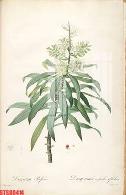 File ảnh gốc Tranh sơn dầu phương tây tổng hợp STS80414 (chuyên in mica)